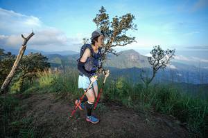 BIB: 
                            <button type="button" onclick="openModal(22455537)" class="btn btn-primary btn-sm float-right btn-popup" data-toggle="modal" data-target=".modal-high-quality">
                        <i class="fas fa-shopping-cart"></i> Add to Cart
                    </button>
                                            <button type="button" onclick="isThisMe(22455537, true)" class="btn btn-success btn-sm float-right btn-popup btn-isme hidden" data-toggle="tooltip" data-placement="bottom" title="นี่คือรูปของคุณใช่ไหม คลิกที่นี่เพื่อเอาเข้าอัลบั้ม">
                        <i class="fas fa-plus"></i> Add to album
                    </button>
                    <button type="button" onclick="isThisMe(22455537, false)" class="btn btn-warning btn-sm float-right btn-popup btn-isnotme hidden">
                        <i class="fas fa-ban"></i> Remove from album
                    </button>